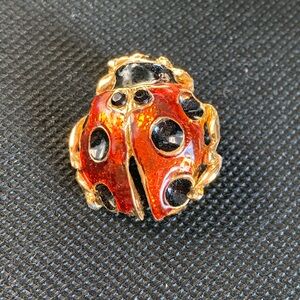 Elegant Ladybug Brooch in Red and Black